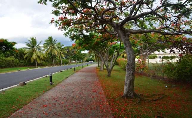 The hidden gems in Fiji