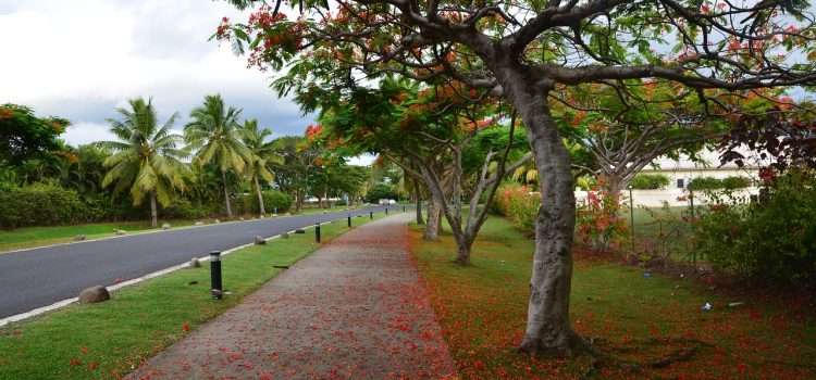 The hidden gems in Fiji