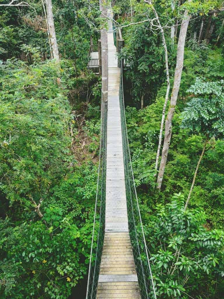 Tropical Malaysia